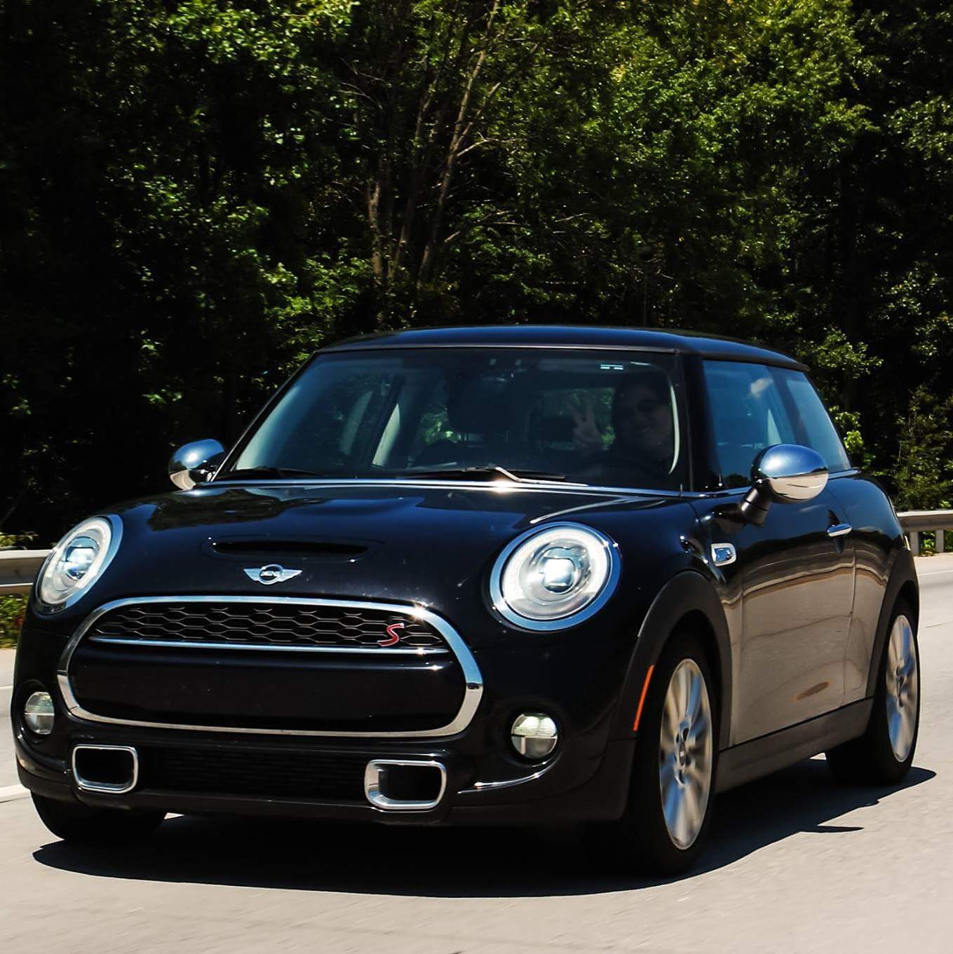 Profile of Rachel McGee