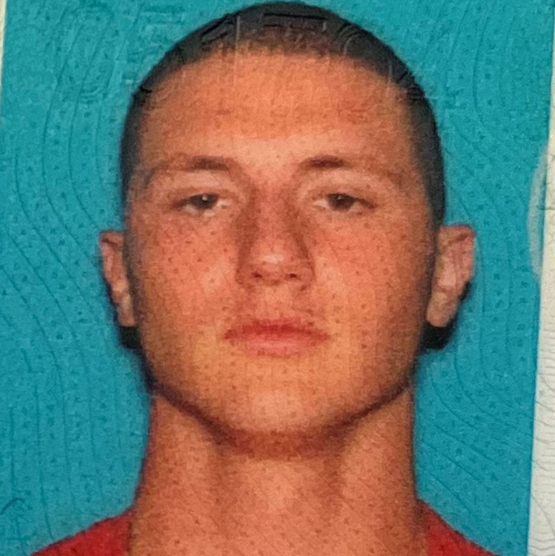 Profile of Arin Telimi