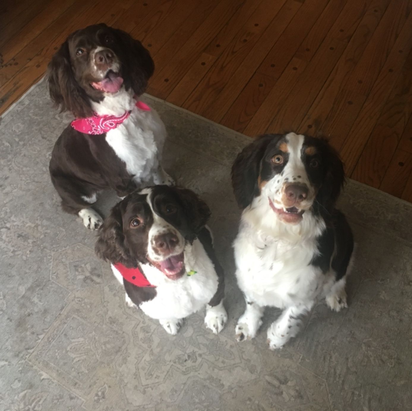 Profile of Greg Pollock