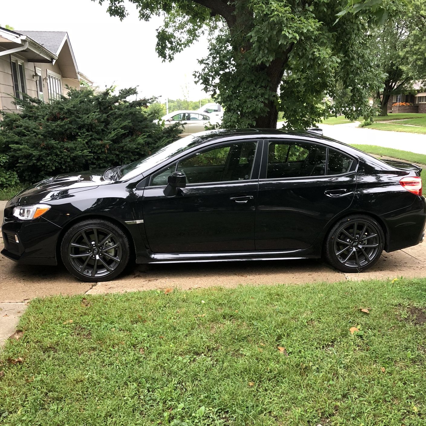 Profile of Zachary Adams