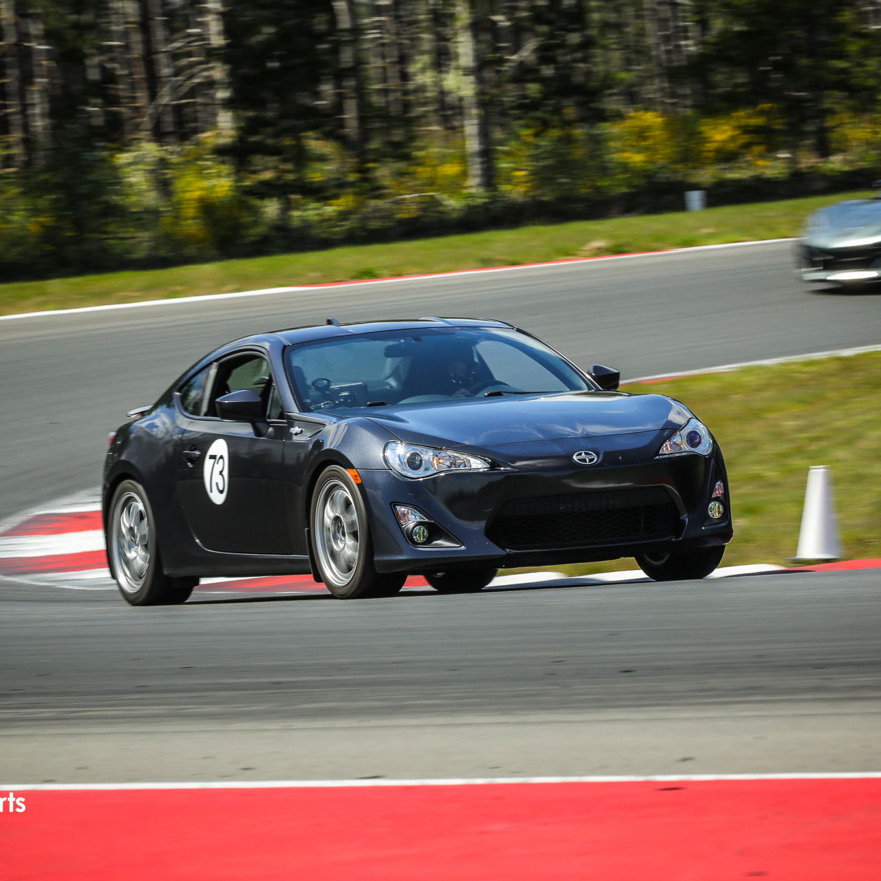 Profile of Steven Linhart