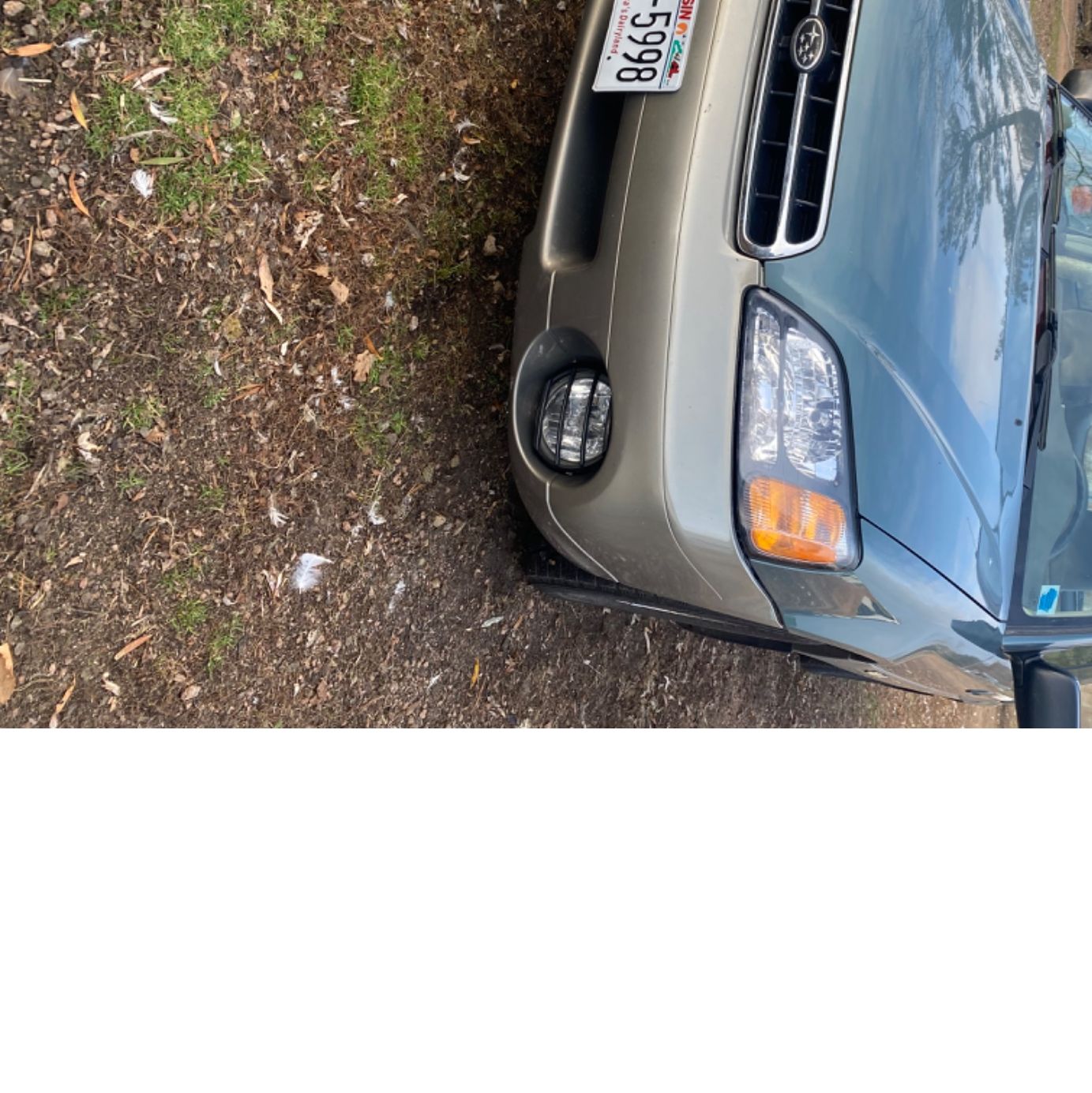 Profile of Tracy Bulgrin