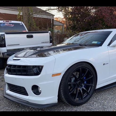 Profile of Sal Lodico