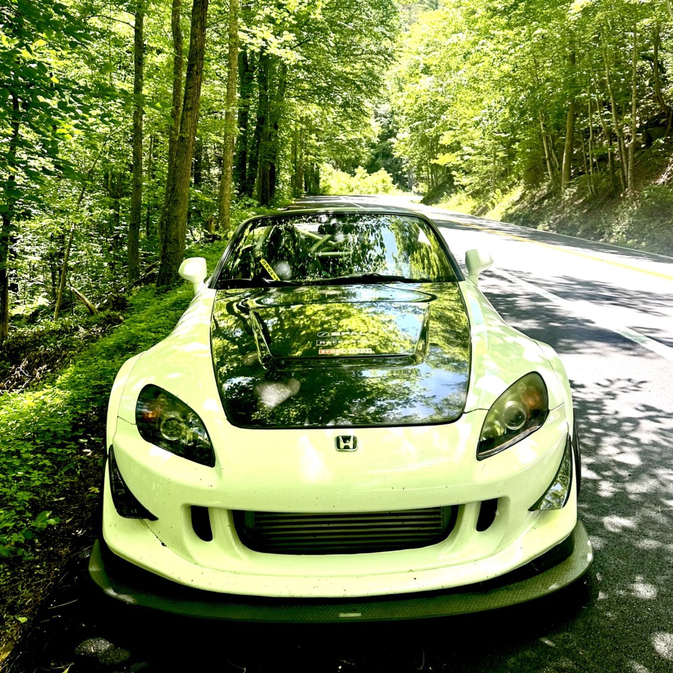 Profile of Nitsan Sanasinh