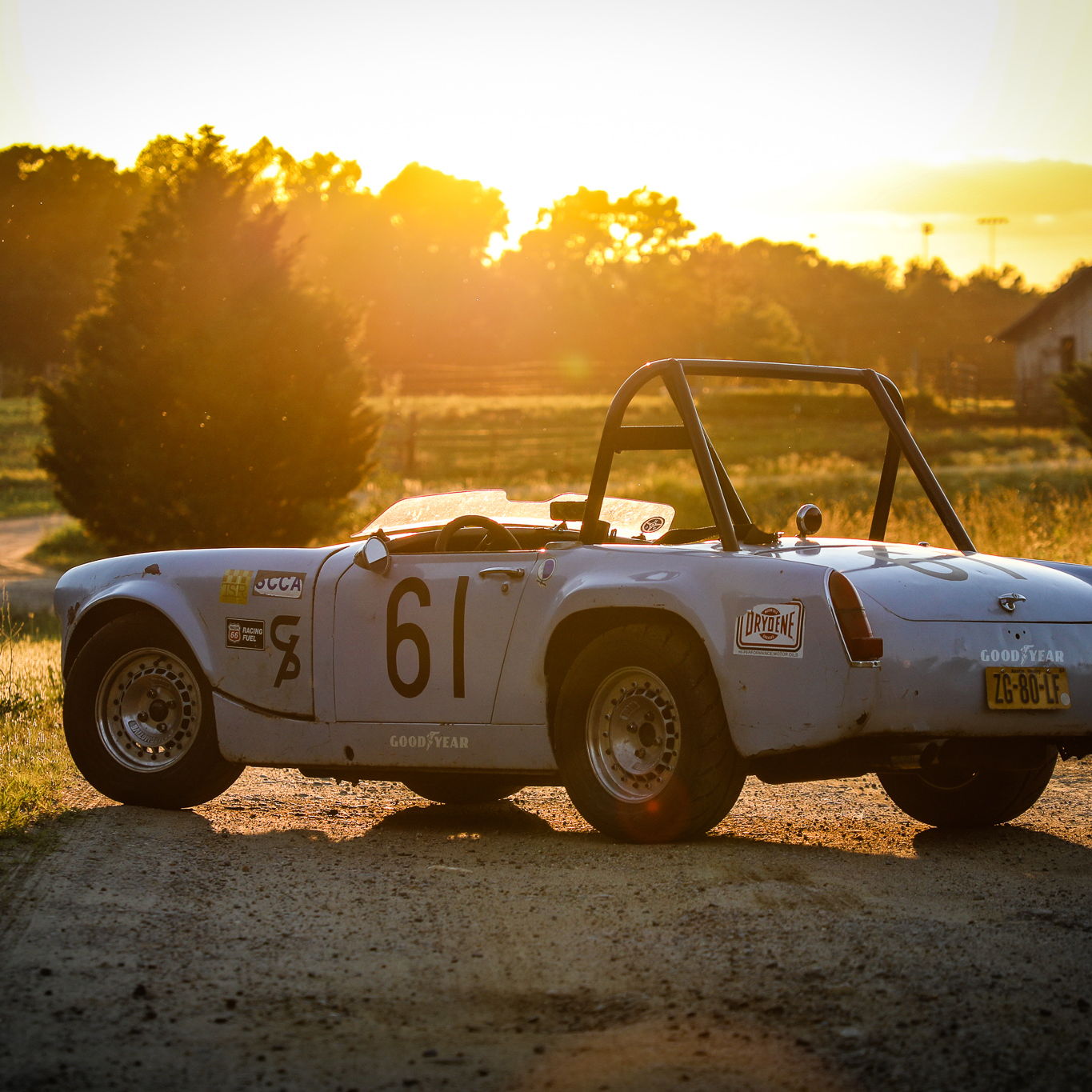 Profile of Todd Morris