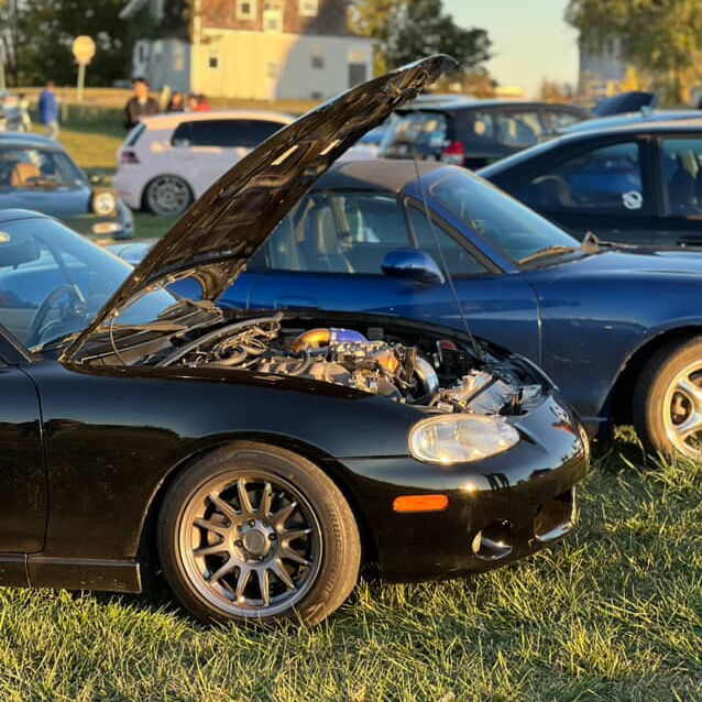 Profile of Brian Bae