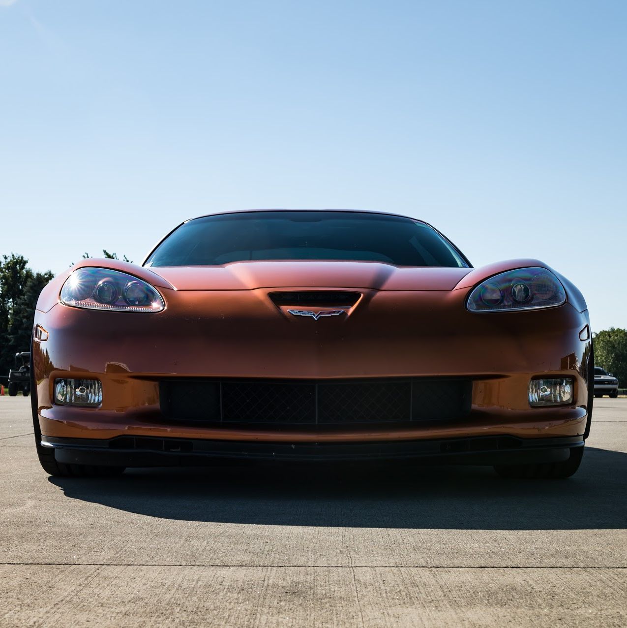 Profile of Mike Valich