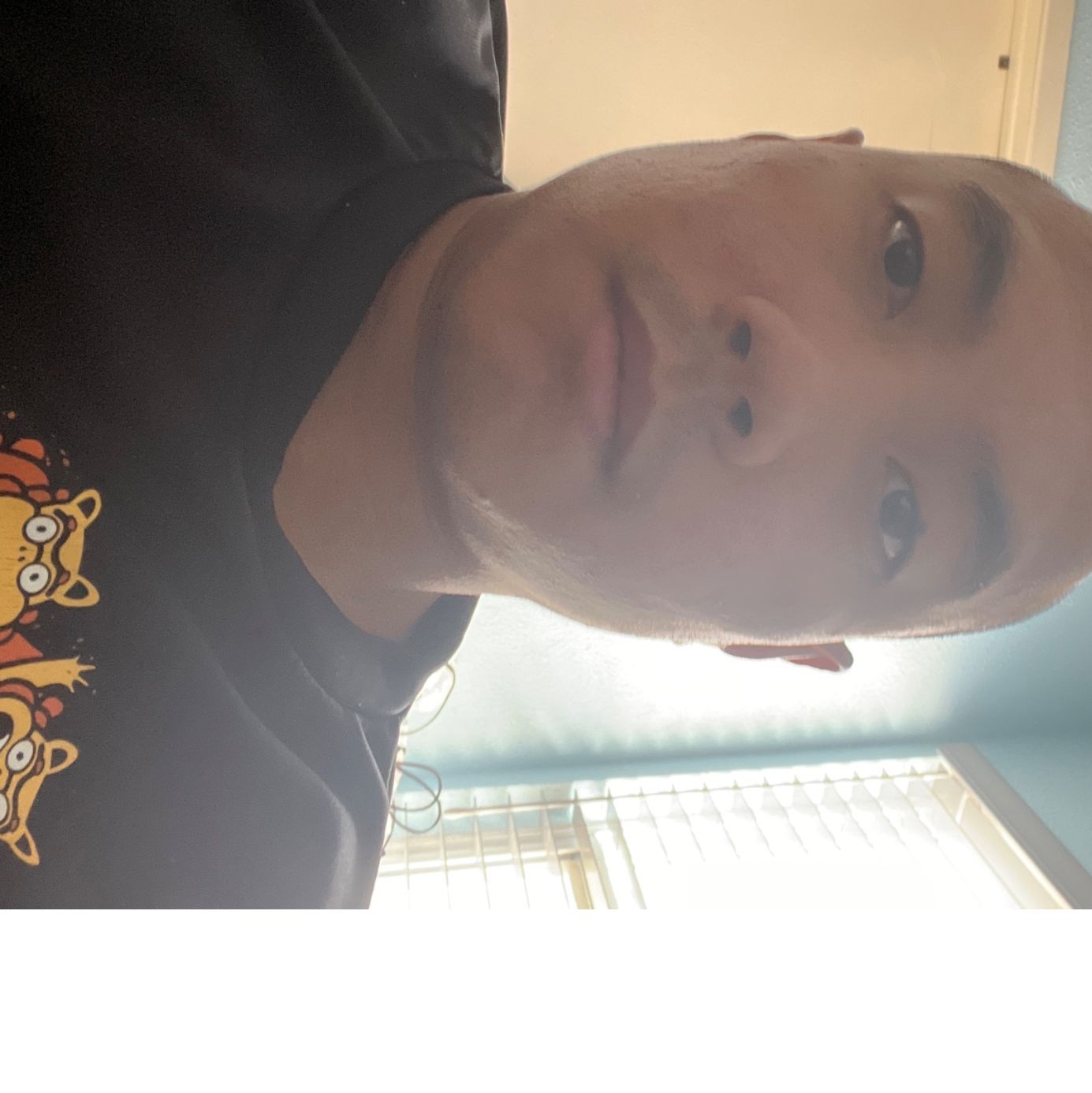 Profile of Richie Thammavongsa