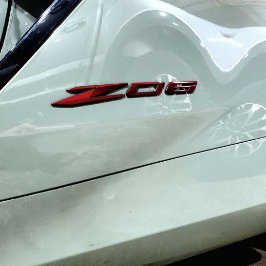 Profile of Shane Tomlin