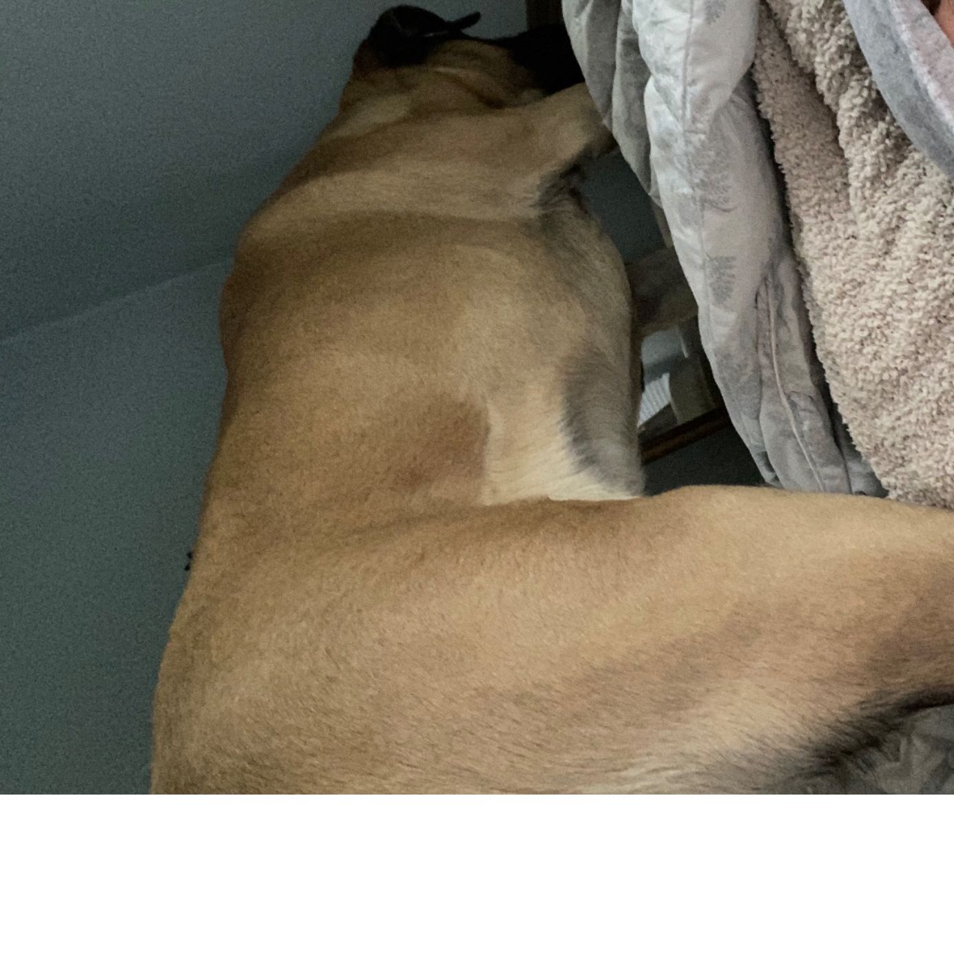 Profile of Scott Taylor