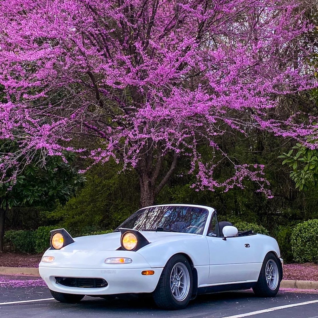 Profile of Joseph Abi-Najm