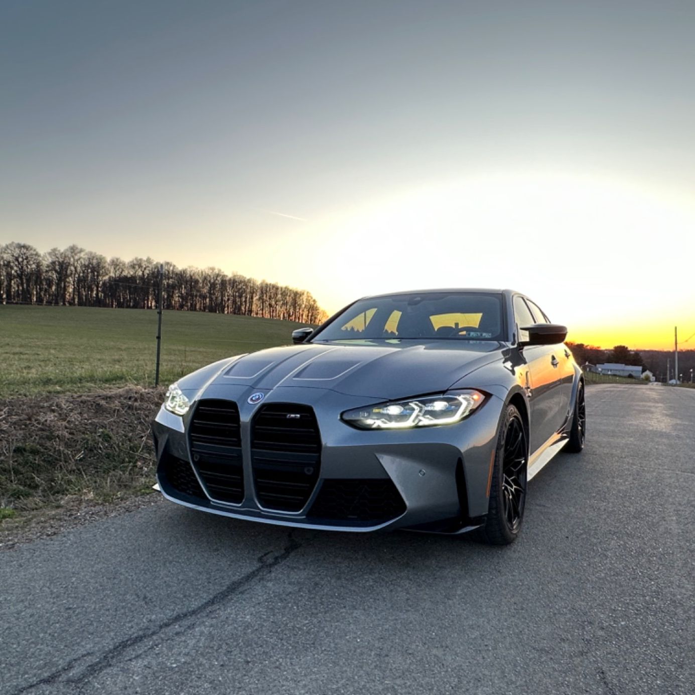 Profile of Wilde Paule