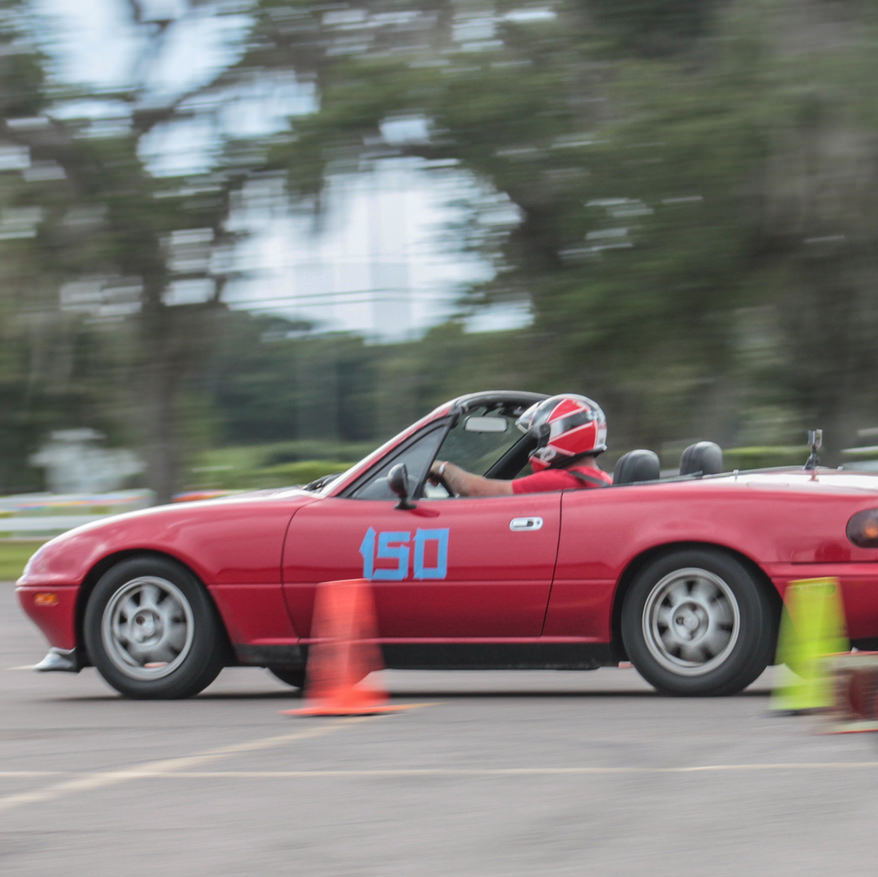 Profile of Matthew Lyon