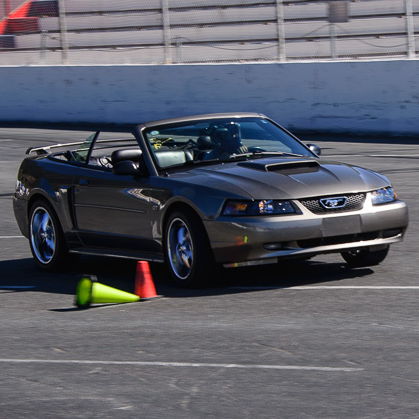 Profile of Shelby Gondor