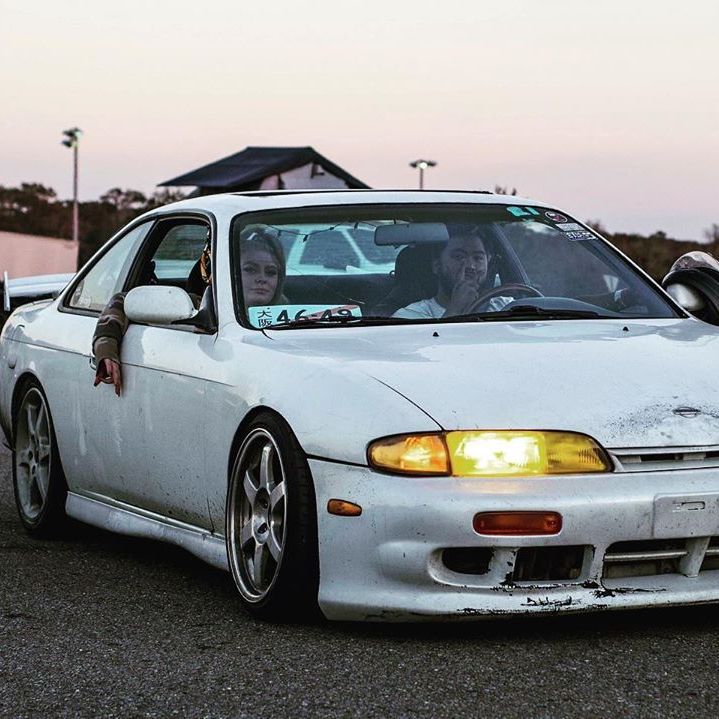 Profile of Sid Pingul