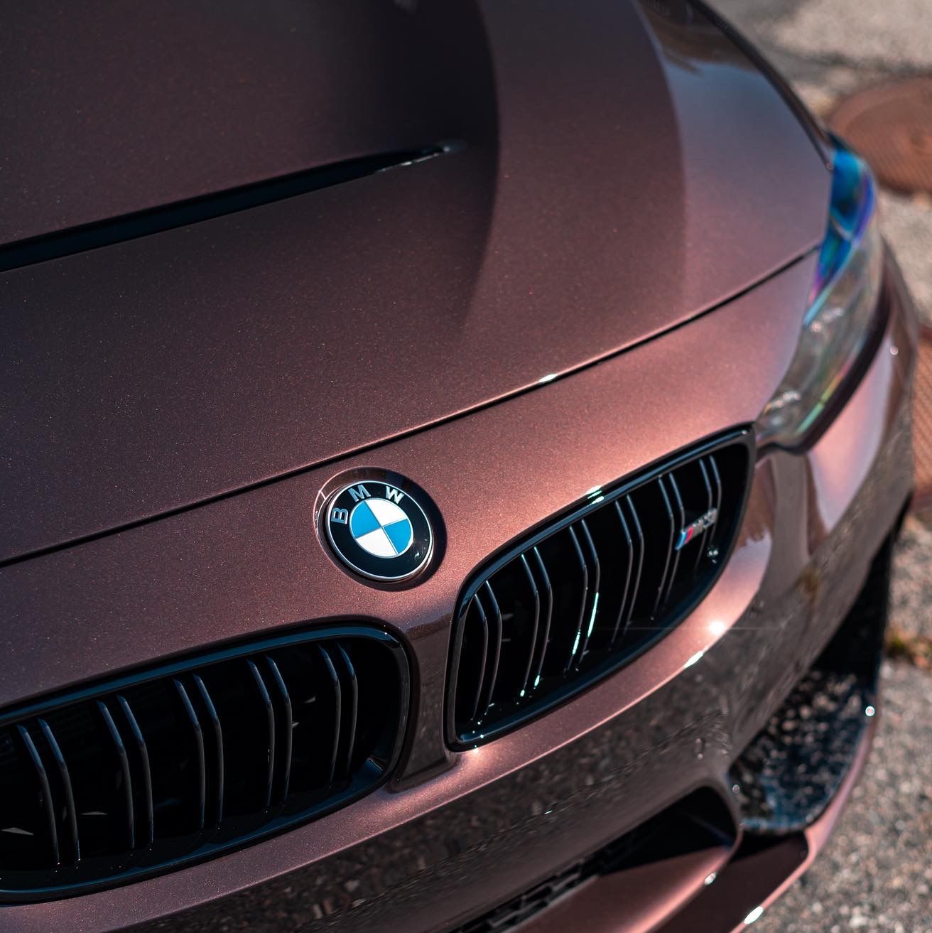 Profile of James McIver