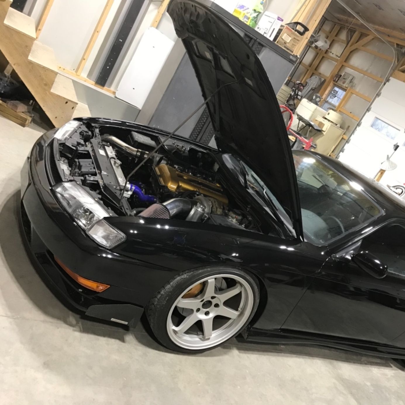 Profile of Mark Collins