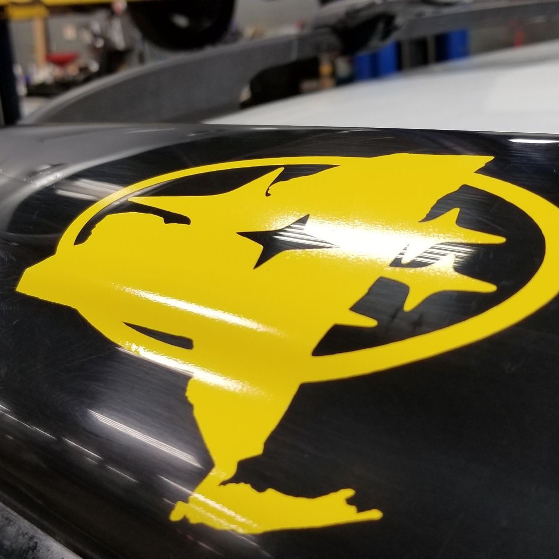 Profile of Daniel Hurley