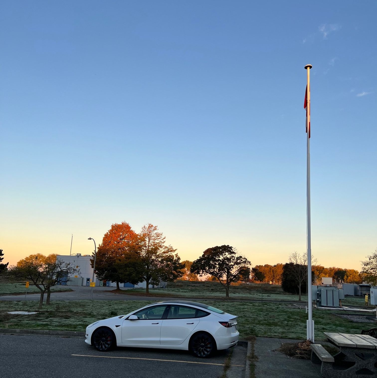 Profile of Chris Foster