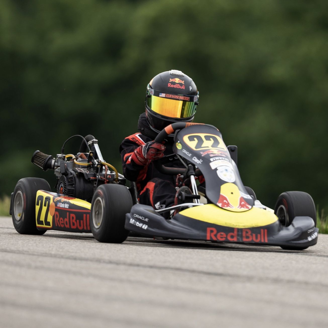 Profile of Gavin Metz
