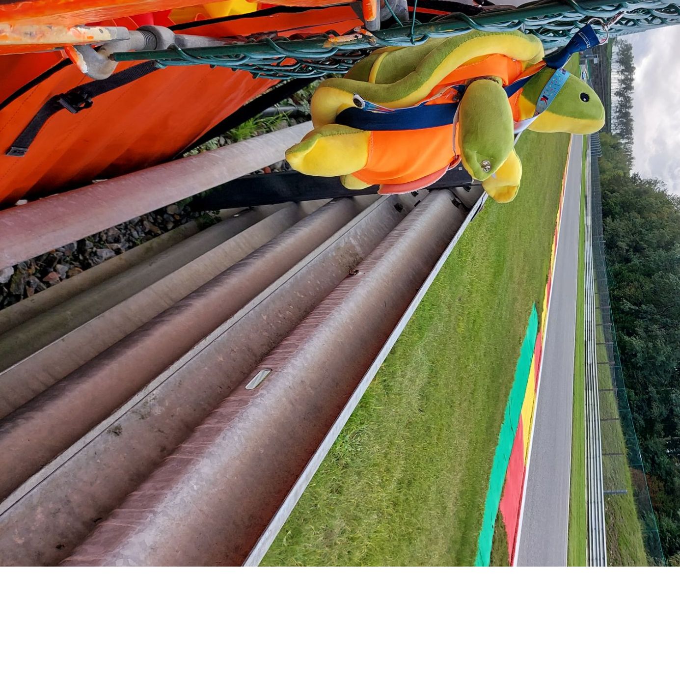 Profile of Heino Krols