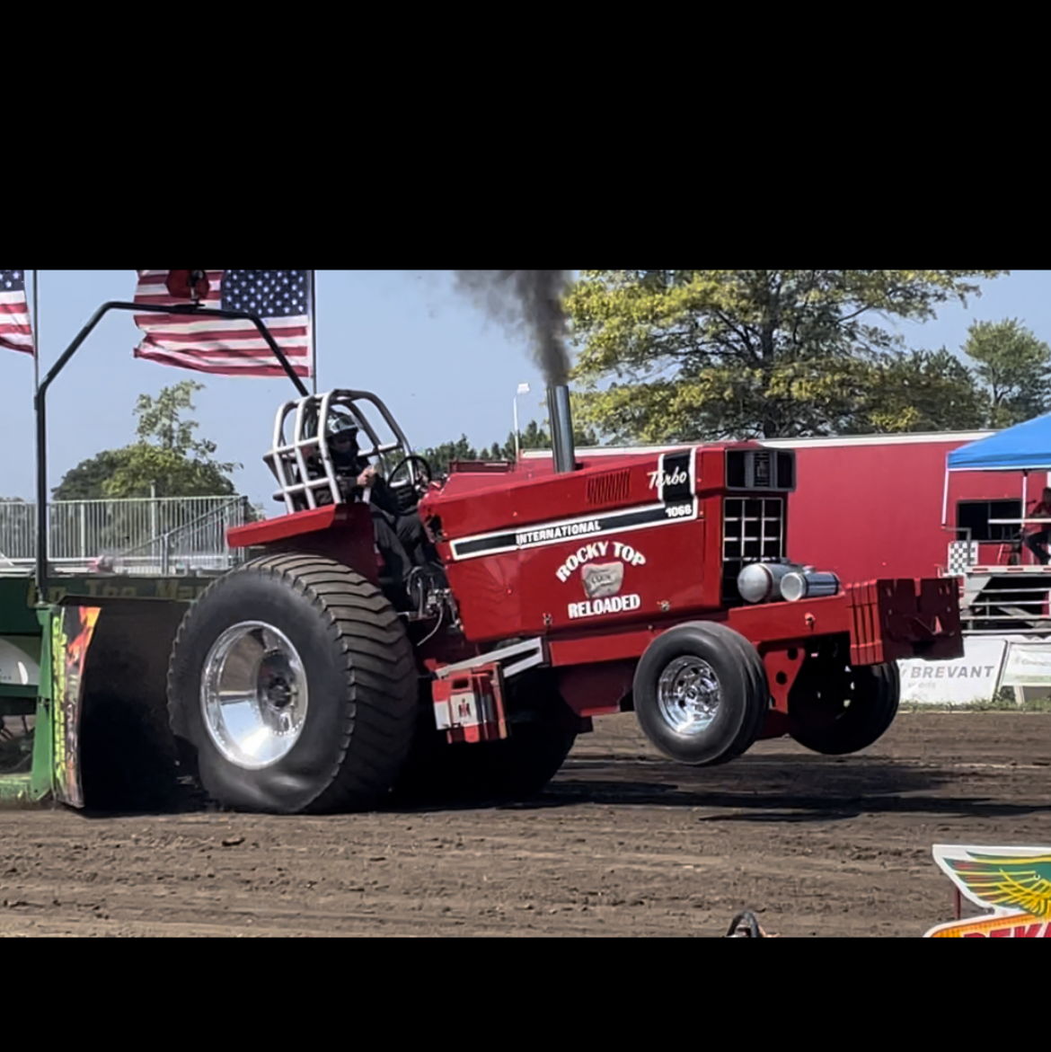 Profile of Wayne Cook