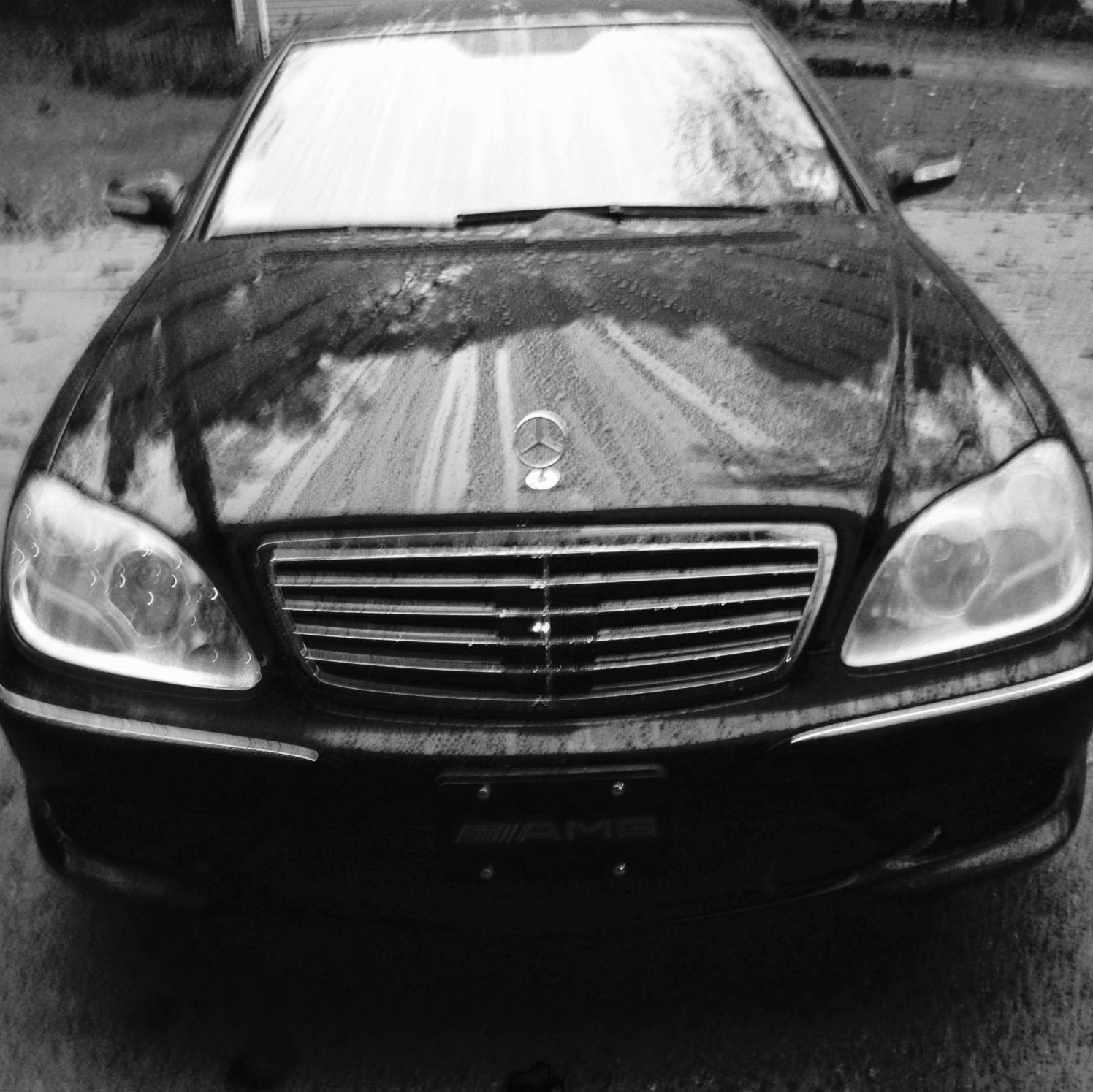 Profile of Jp Petiot