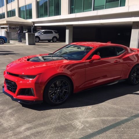 Profile of James Craig Maluff