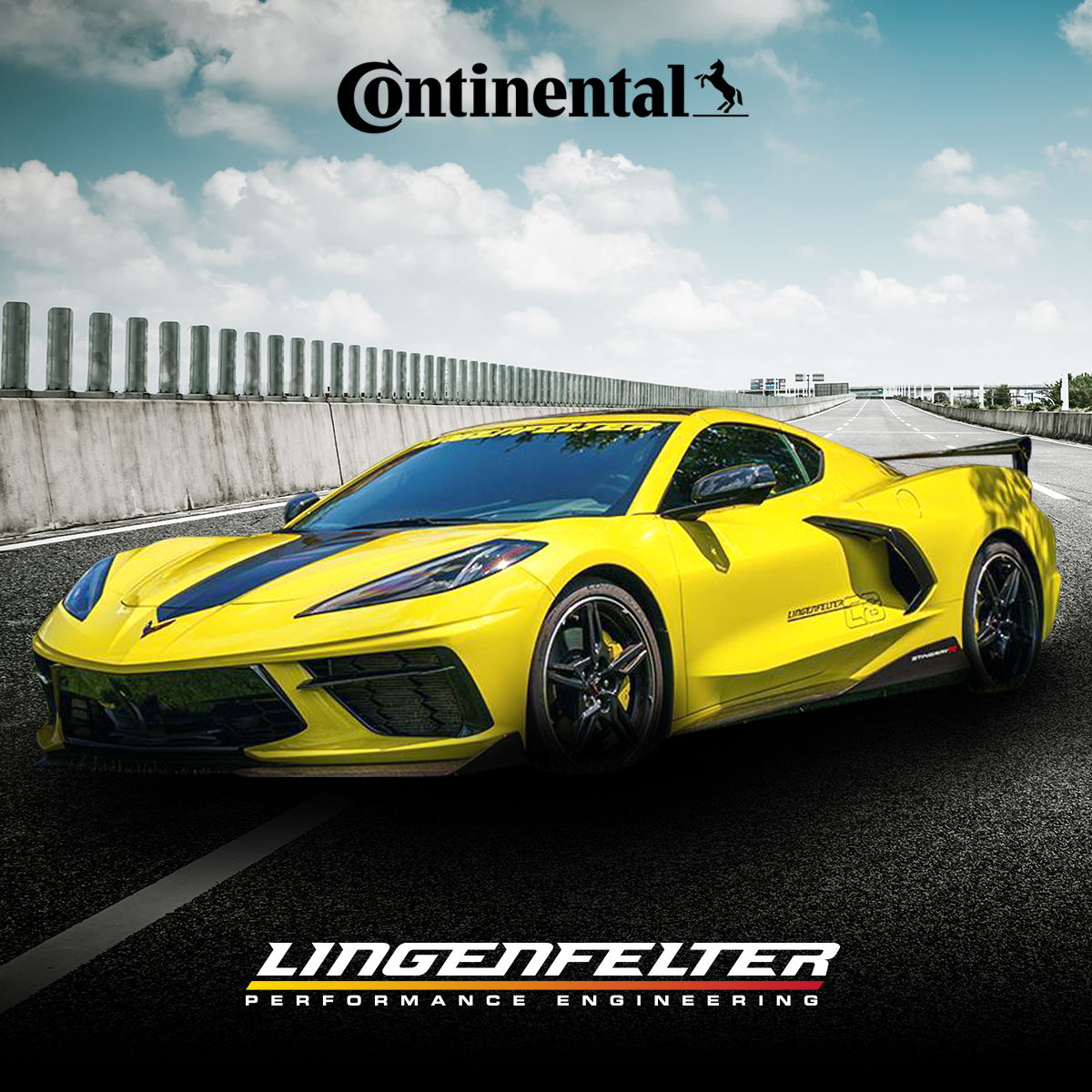 Profile of Kristen Lingenfelter