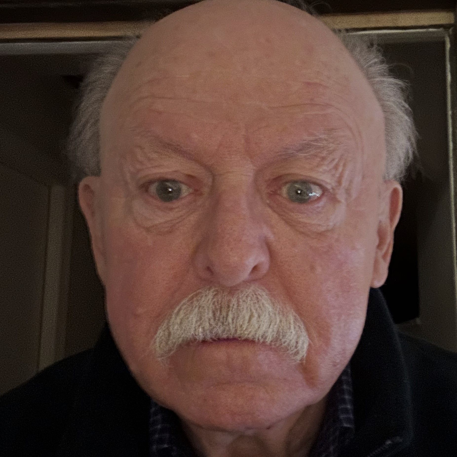 Profile of Larry Doll