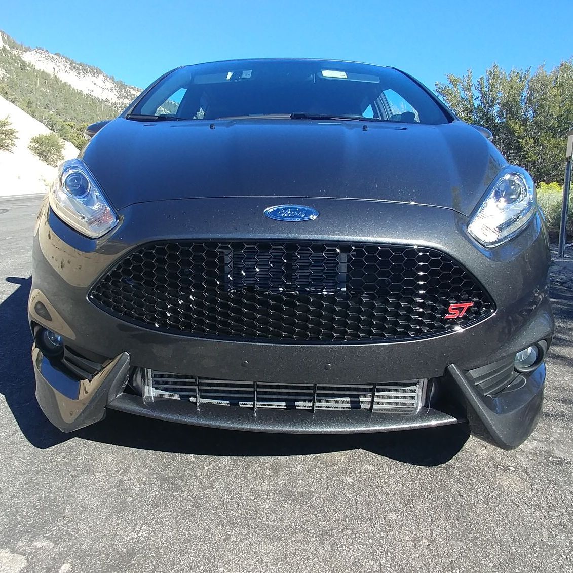 Profile of Anthony Martinez