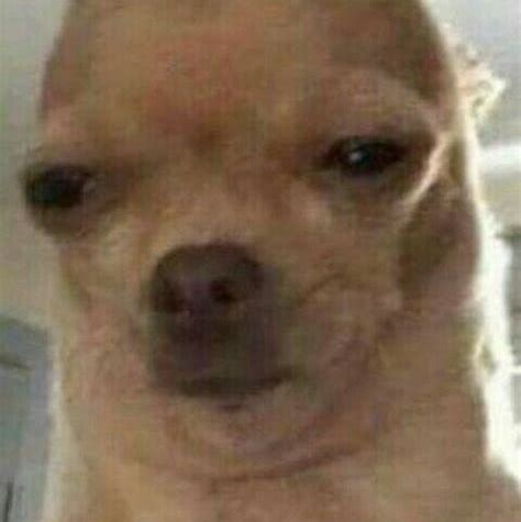 Profile of James Gunnels