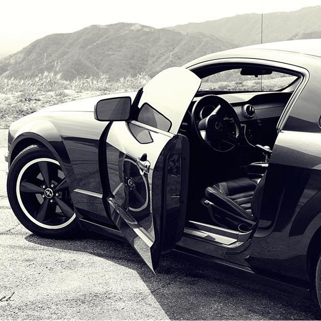 Profile of Andrew Forgy