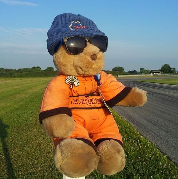 Profile of Orange Bear