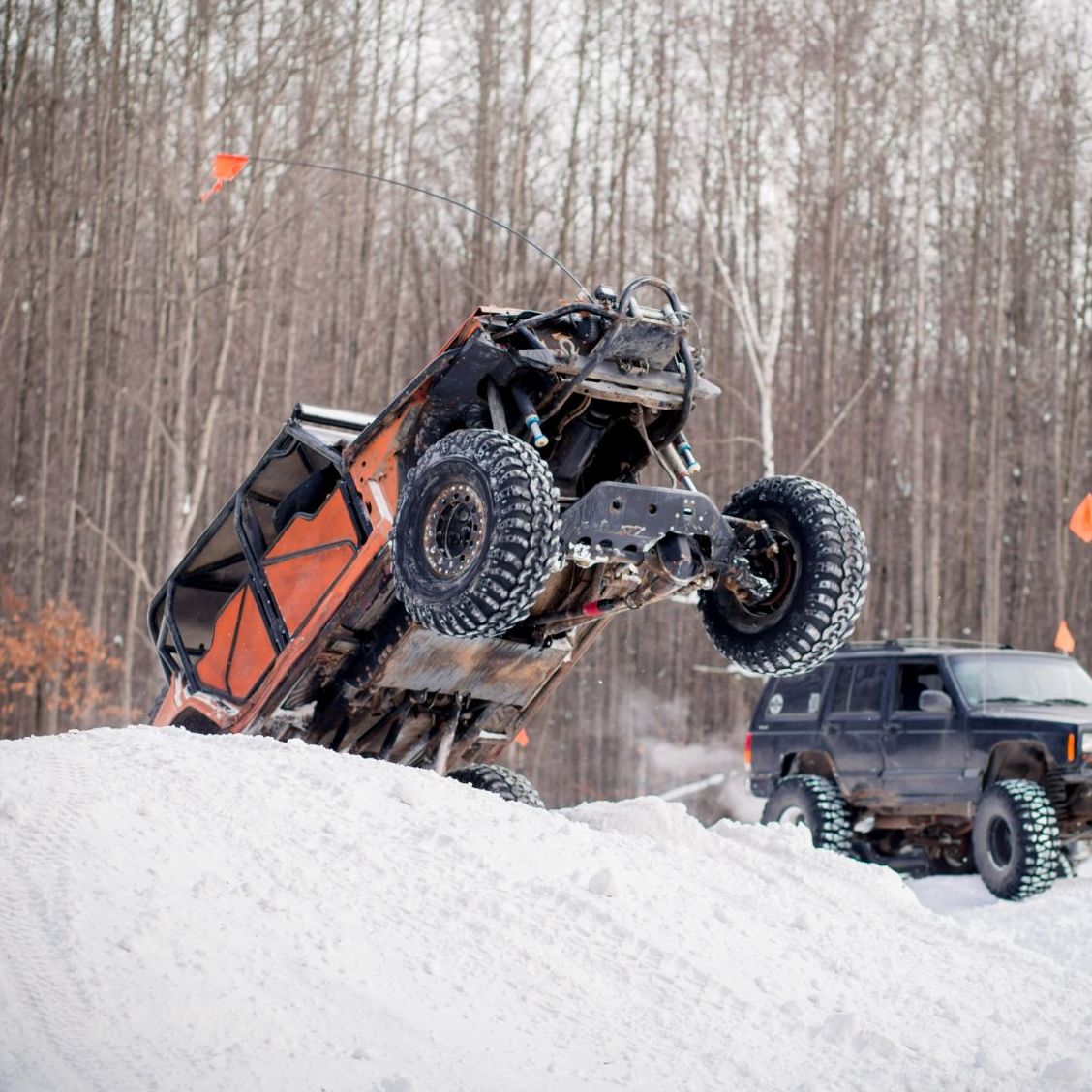 Profile of Curtis Hargitt