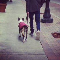 Profile of Shawn Little