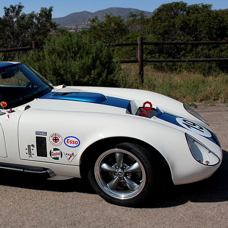 Profile of Dov Shapiro