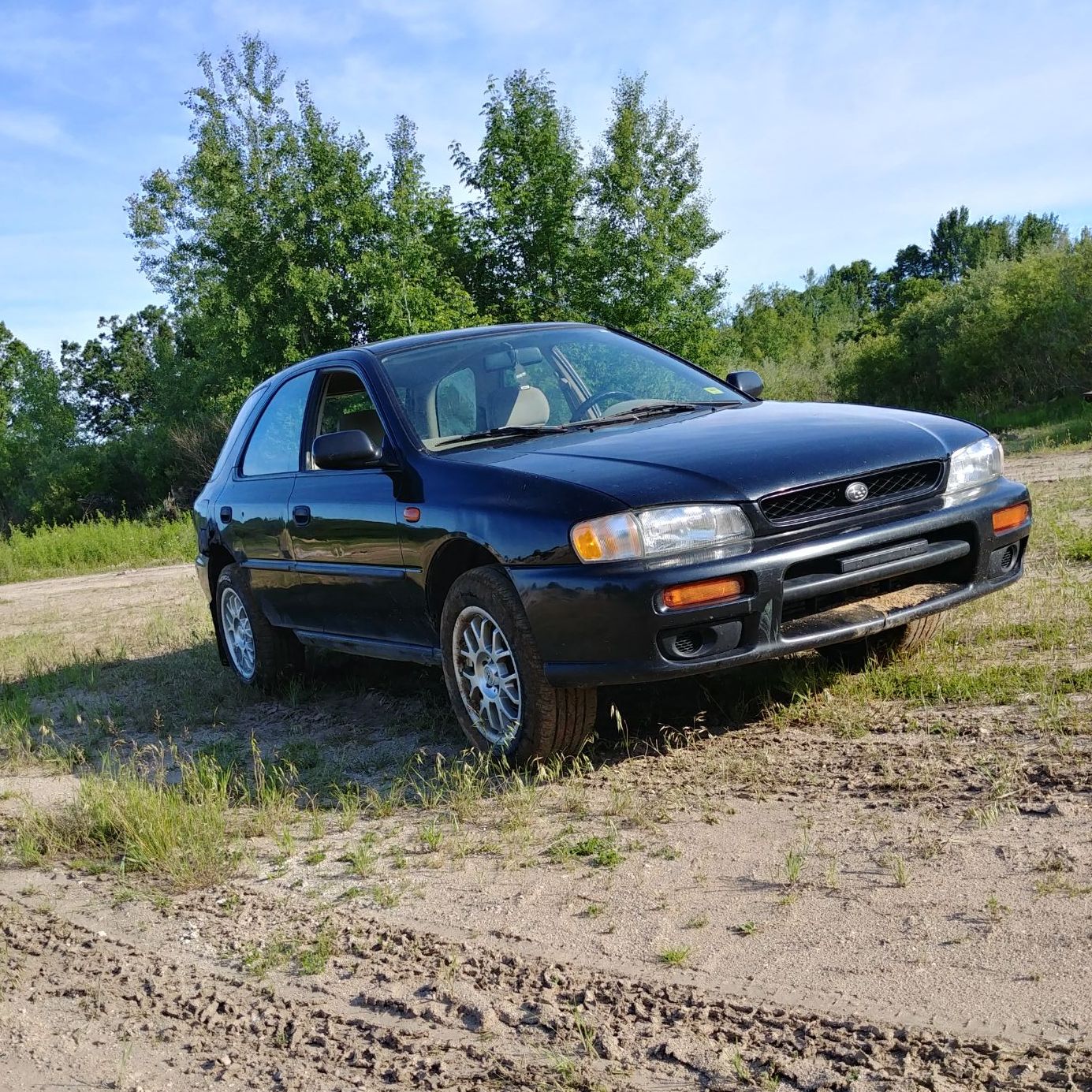 Profile of Dale Ezell