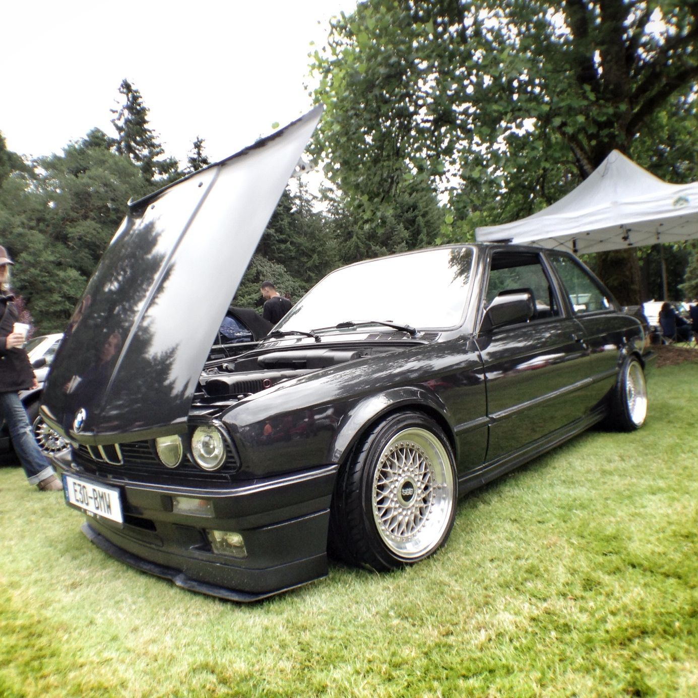 Profile of Andrew Damen