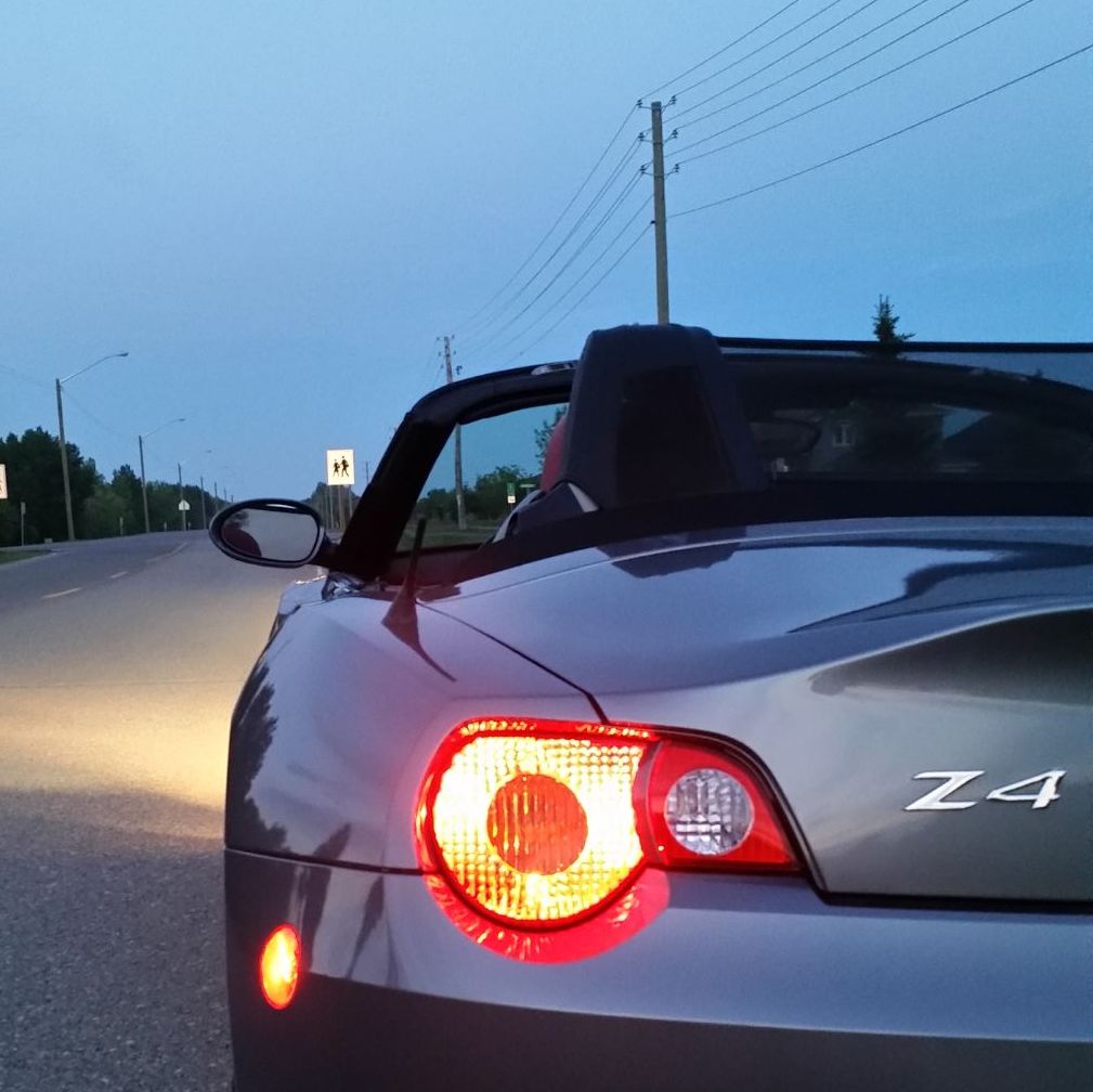 Profile of Domenic Pieroni