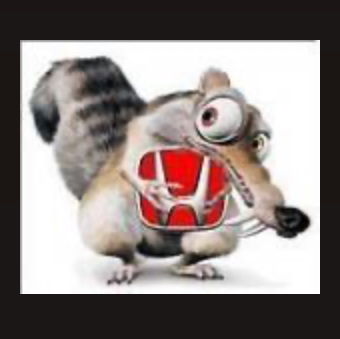 Profile of Nick Hybschmann