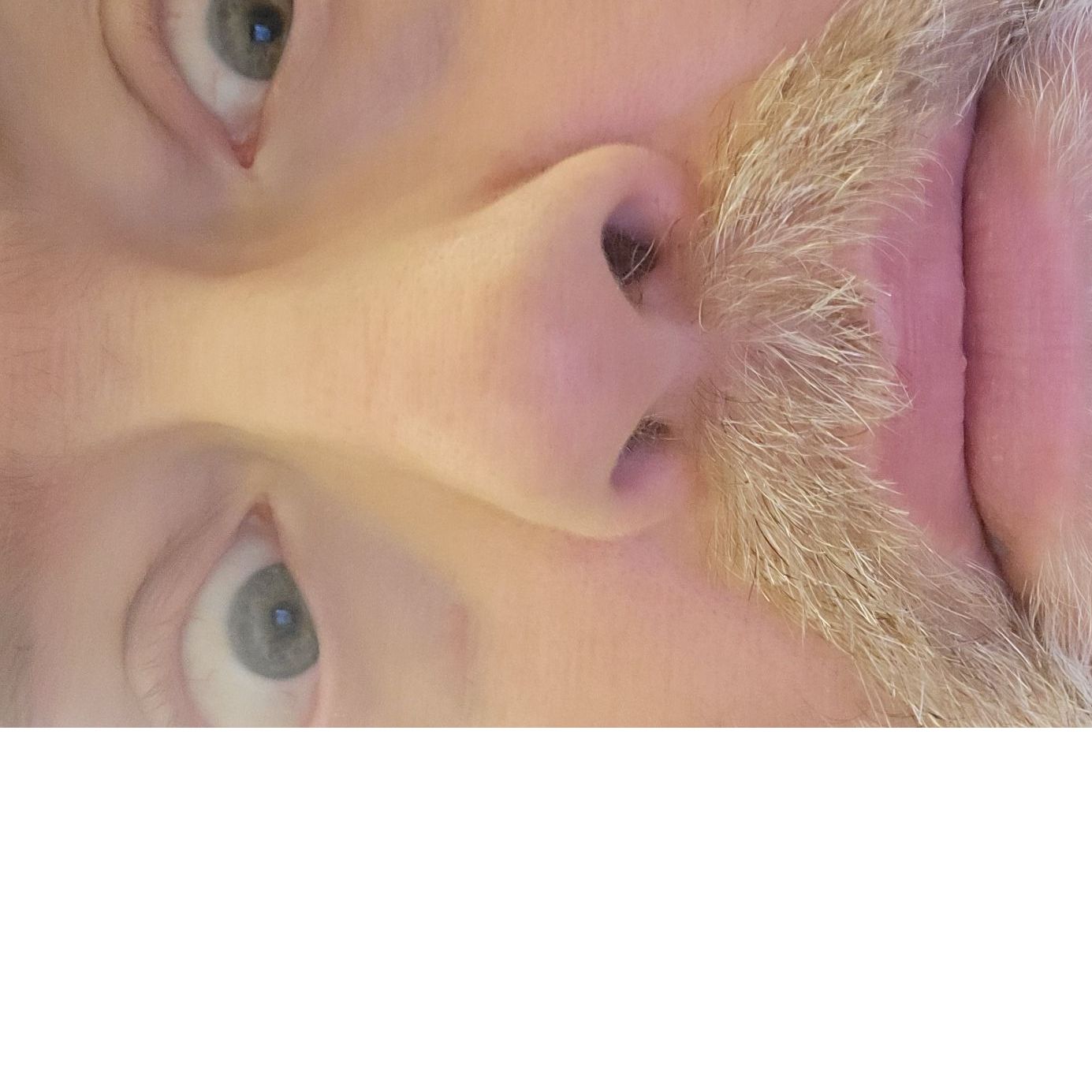 Profile of Daren Ludvigson