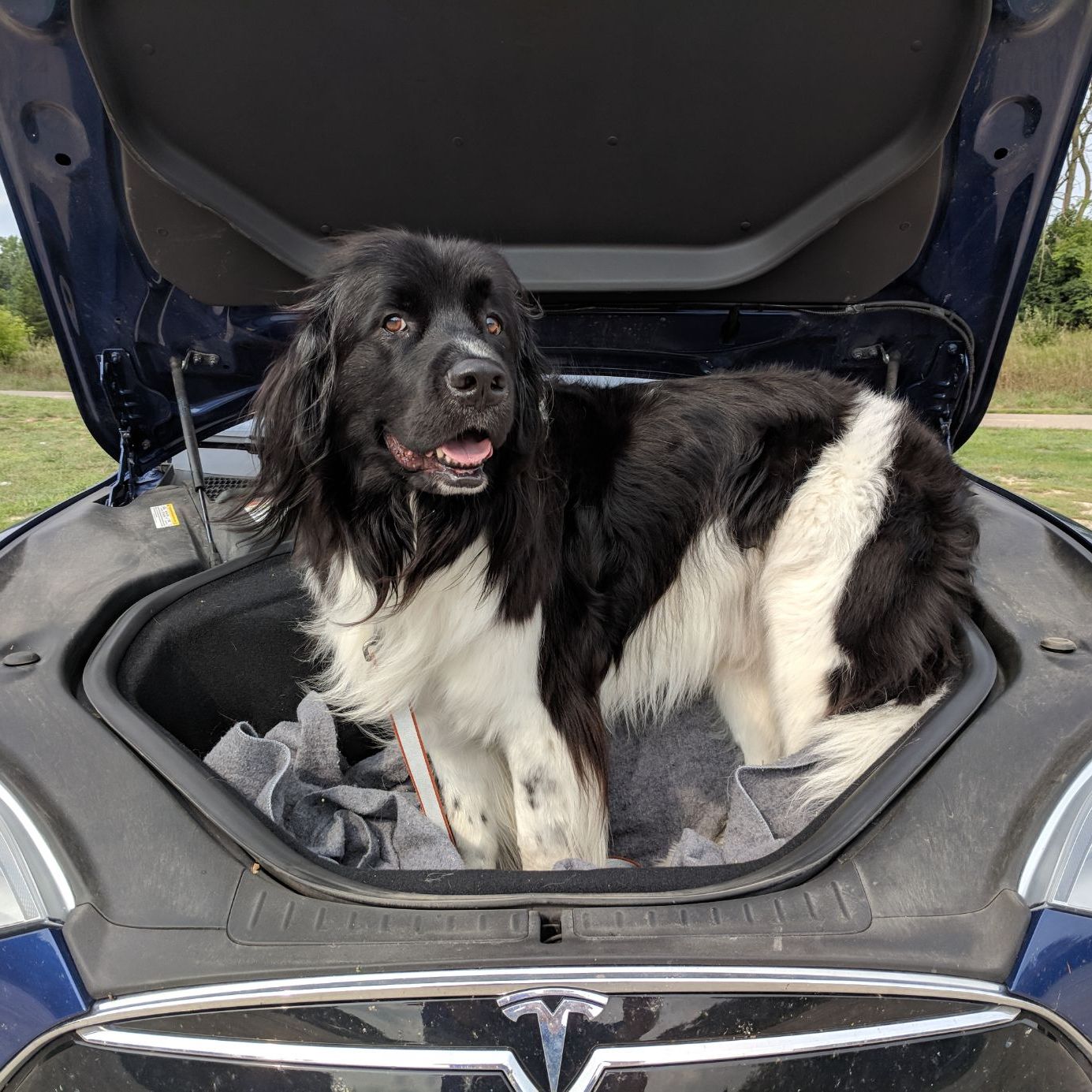 Profile of Robert Peters