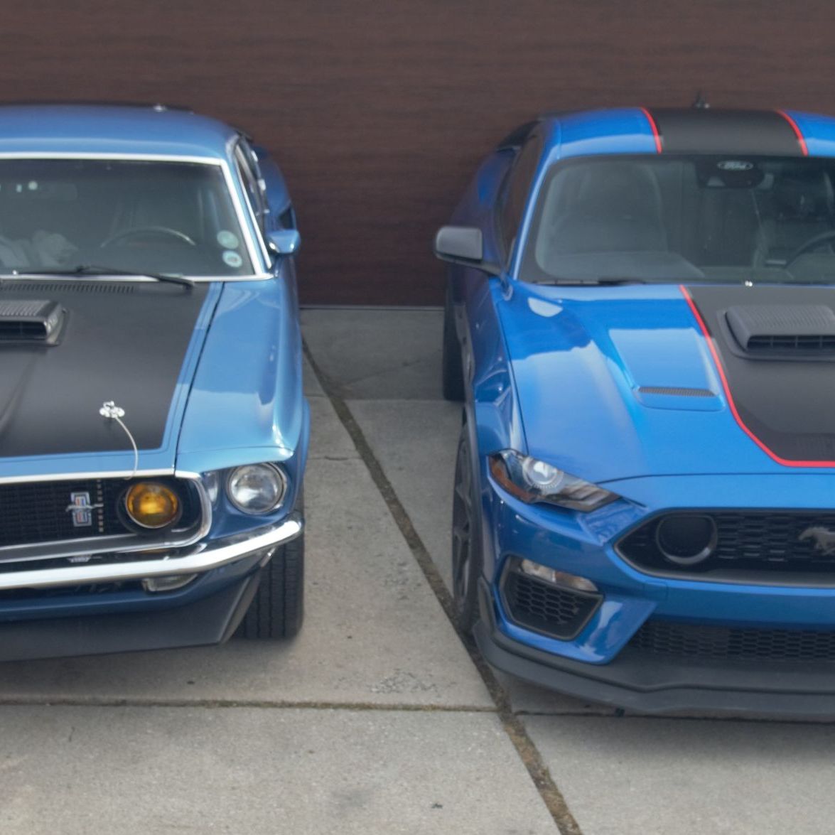 Profile of William Musser