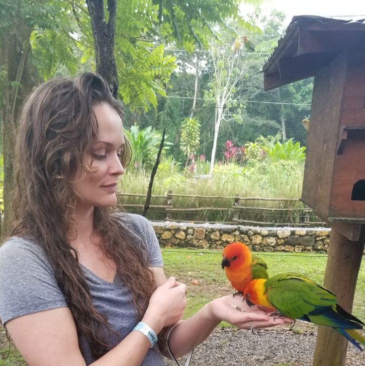 Profile of Lindsay A