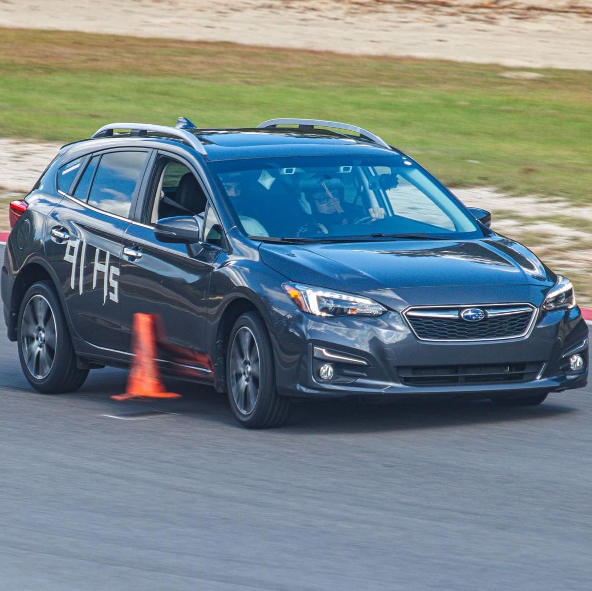 Profile of Terry Nguyen