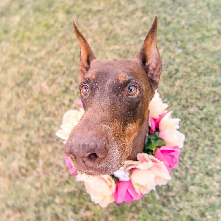 Profile of Denise Marion