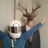Profile of Todd P