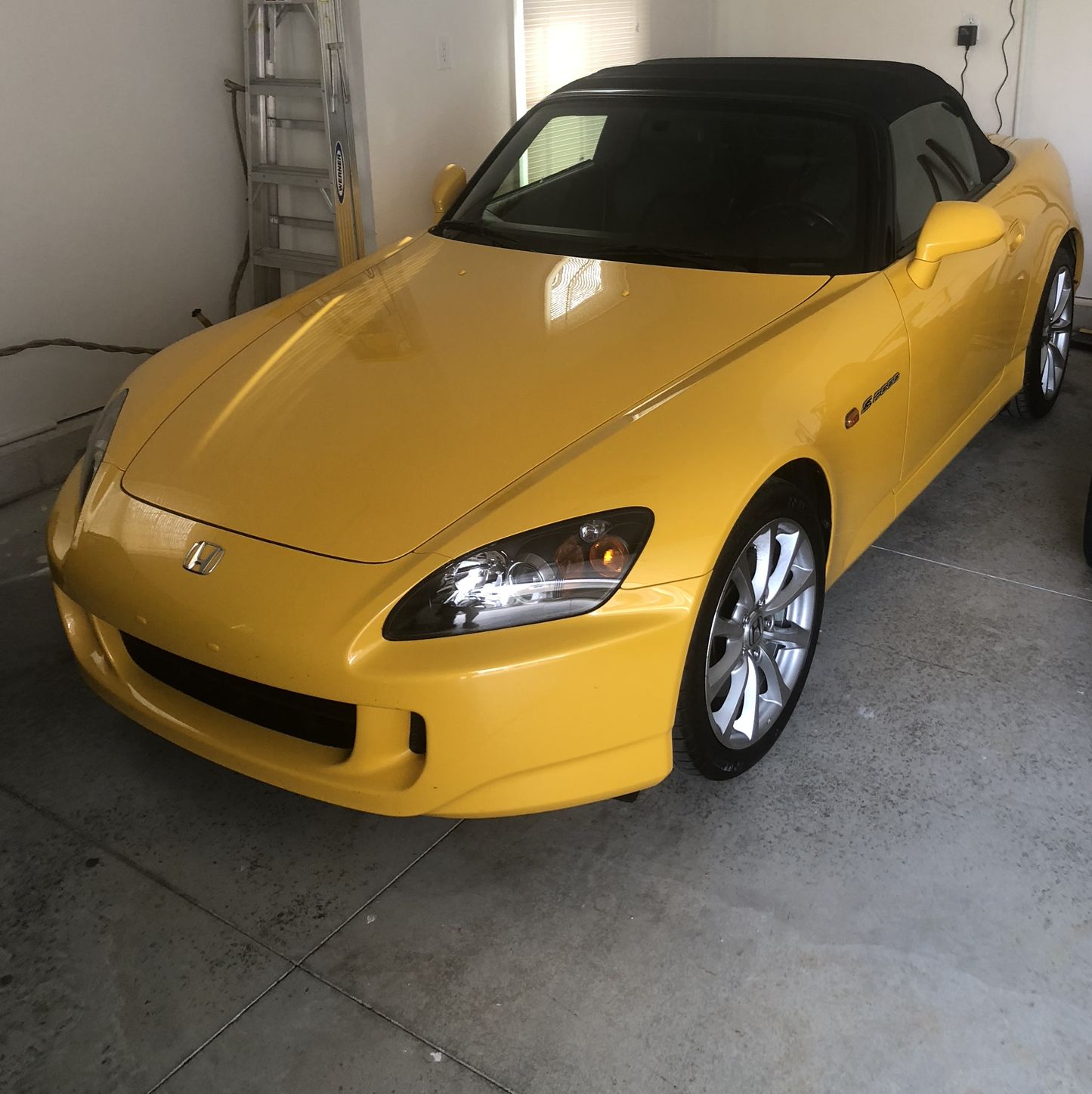 Profile of Melissa Lentych