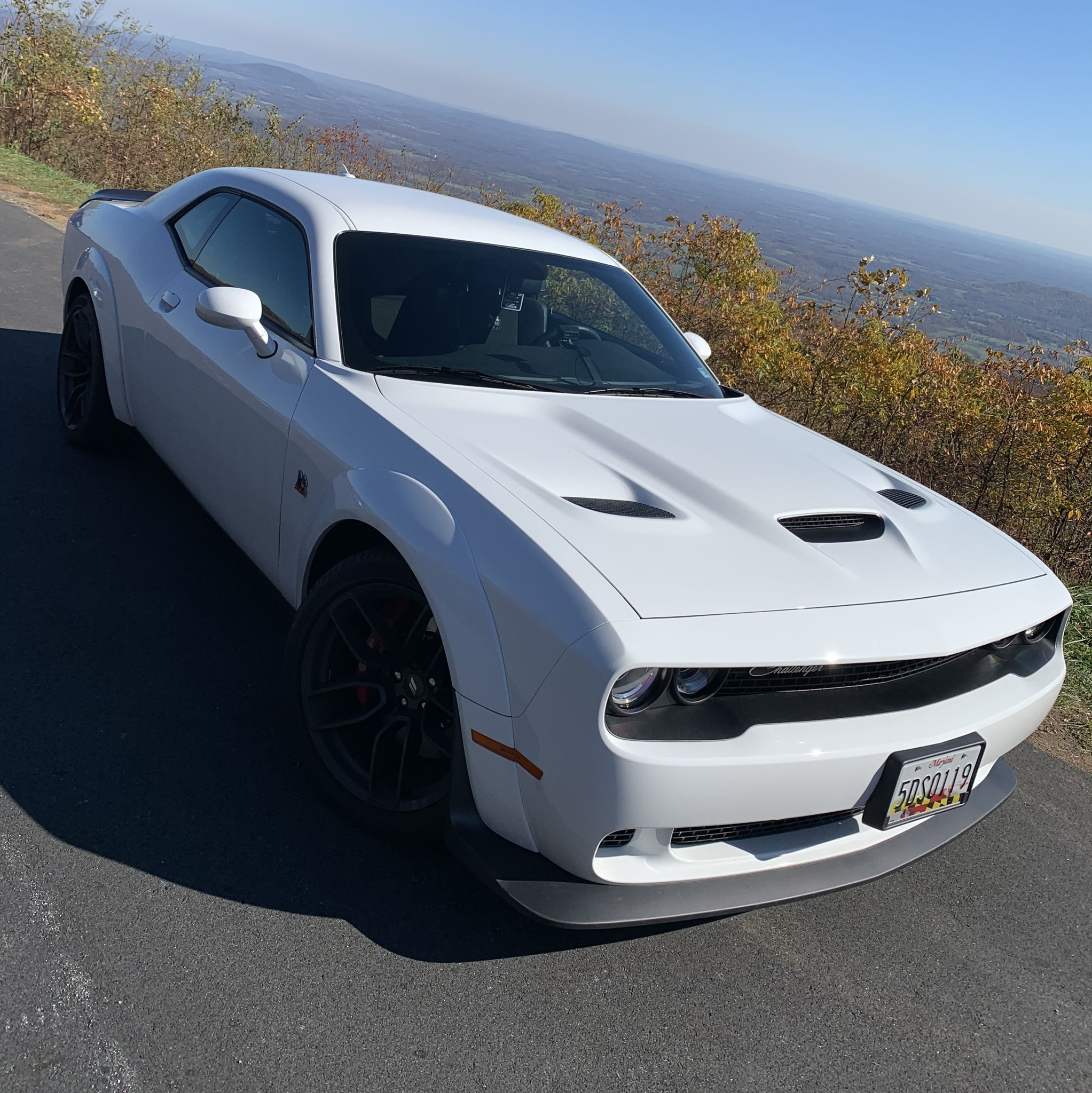 Profile of Ronj Buendia